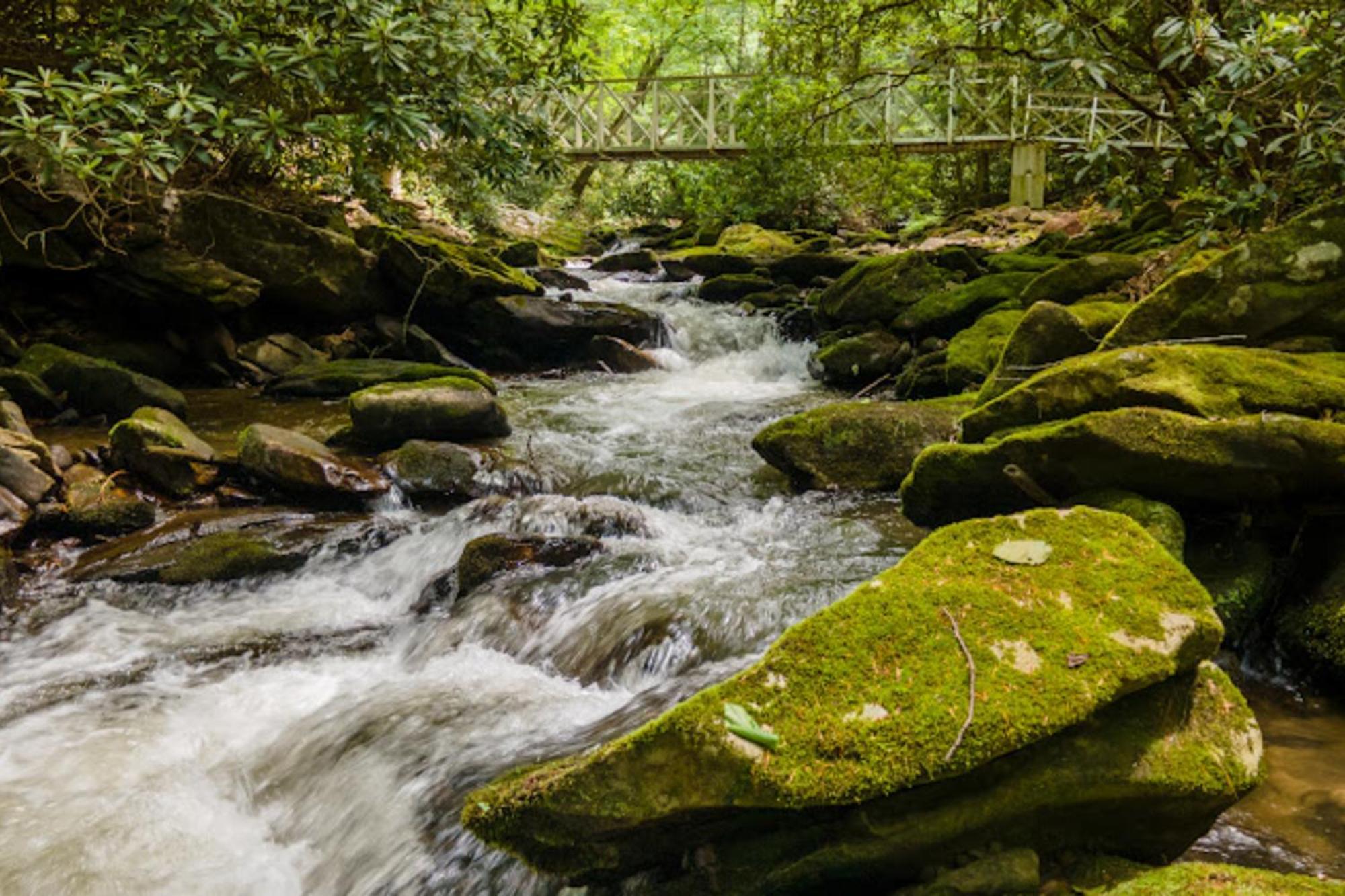 Creel Lodge At Middle Creek Otto Bagian luar foto